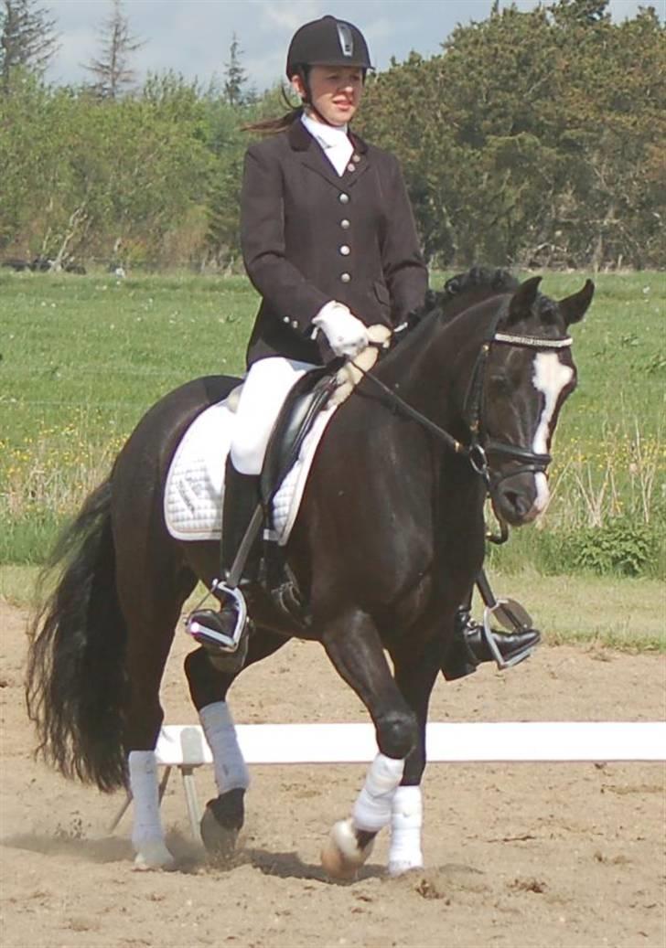 DSP Pirat   billede 9