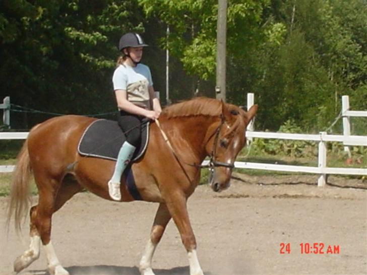 Anden særlig race Himbi *Gammel part* billede 9