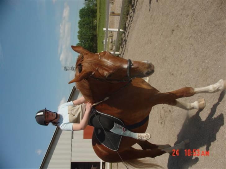 Anden særlig race Himbi *Gammel part* billede 10