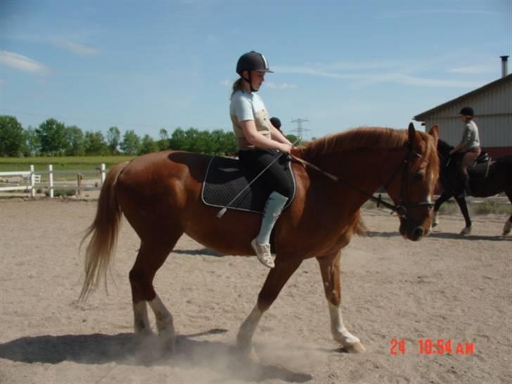 Anden særlig race Himbi *Gammel part* billede 14