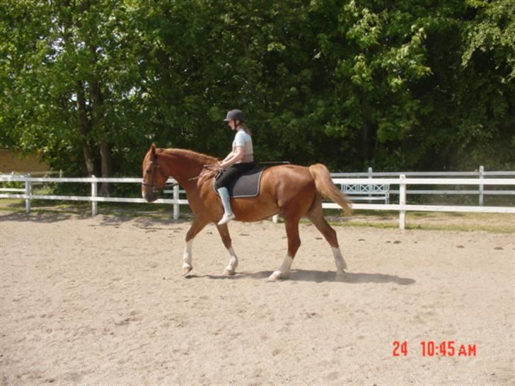 Anden særlig race Himbi *Gammel part* billede 20