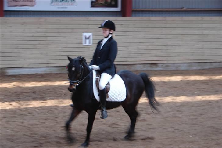 Tysk Sportspony Raket - stævne d. 3 maj (: lc2 billede 16