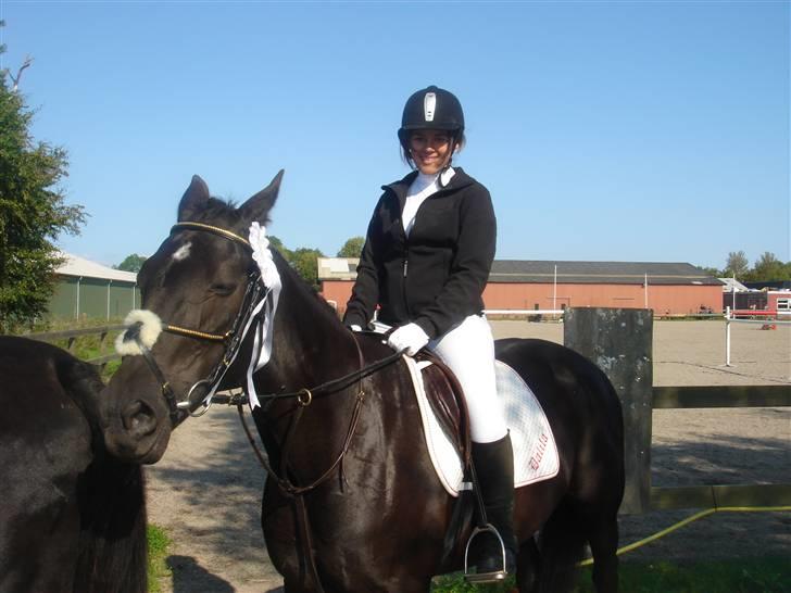 Traver Dijon Amber - den første rossette sammen ;}  tak fordi i kigggede på os to skønheder :D billede 20