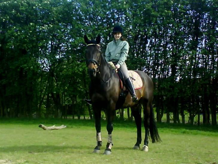 Dansk Varmblod *Kildegårdens Barton* sov stil ind den 19.dec 2011 - beste billede med min veninde henriette og min bølle barton  billede 19