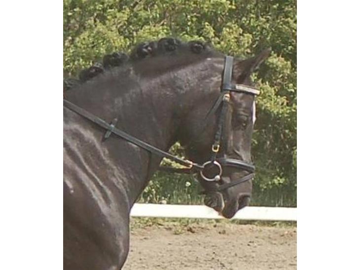 {{currentPhoto.altText}} billede {{currentPhoto.number}}