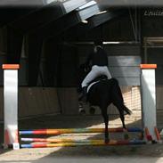 Traver Scan Exotica R.I.P