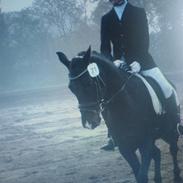 Anden særlig race Horse-Wear's Oktober 