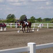 Hannoveraner Bentley Azure