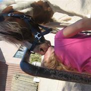 Pinto Asasara Calvin Solgt;(