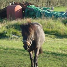 Anden særlig race mulan<3