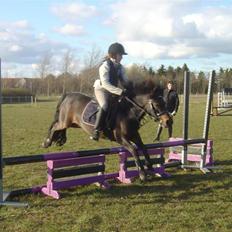 Anden særlig race mulan<3