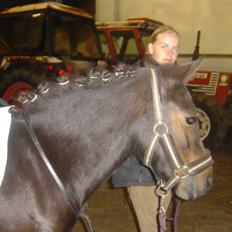 Anden særlig race mulan<3