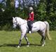 Welsh Pony (sec B) Skovbjergs Choice