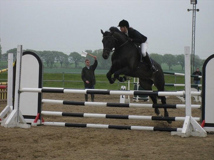 Dansk Varmblod Vejlgårds Casco - 23/5 2010 c- stævne mbrk. Masser af nul runder:-) billede 1