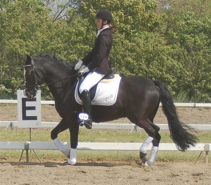 DSP Pirat   billede 10