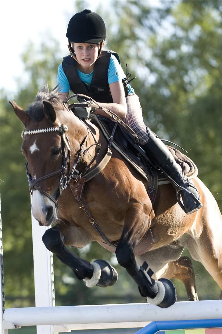 Anden særlig race Unique - jeg elsker dig mere, end noget andet! spring camp 08 billede 1