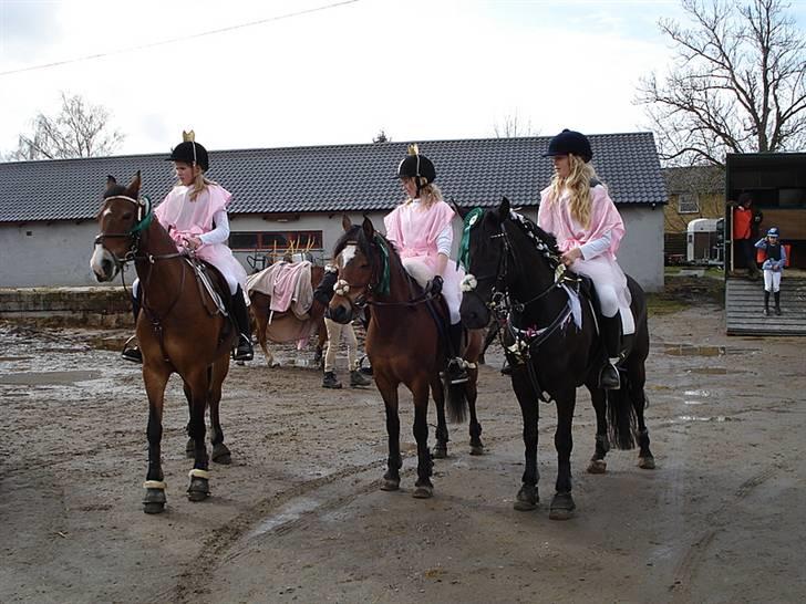 Anden særlig race Unique - prinsesserne vi blev nr. 4 YEEEEEEEES billede 12