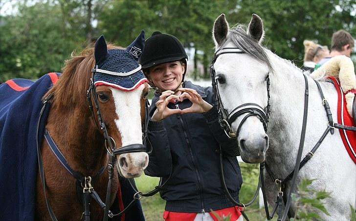 Welsh Partbred (Sec F) Myrebjergets Skywalker | A - (Billede 13) Stjerneponyerne Nusen og sky <3 billede 9