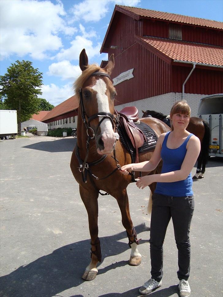 Anden særlig race Frydenssangs Casanova (Himmelhest) - Casa og Emma :o) billede 4