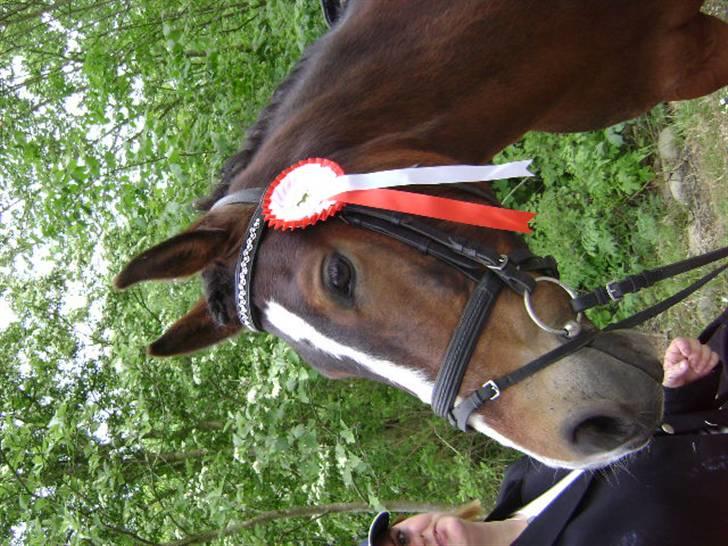 Anden særlig race Pablo * SOLGT * - Godt billede, hvis jeg ikke havde haft så stort et hovede, at det kom med.. ;-) billede 4