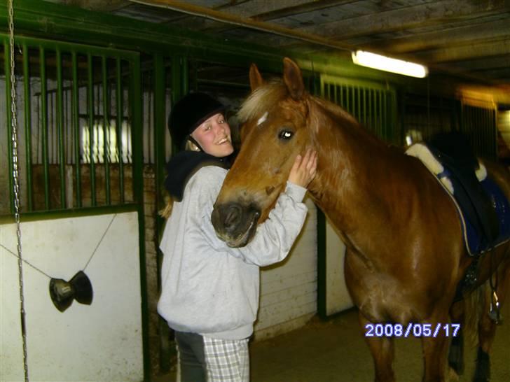 New Forest Benjamin - klø klø klø :) billede 4