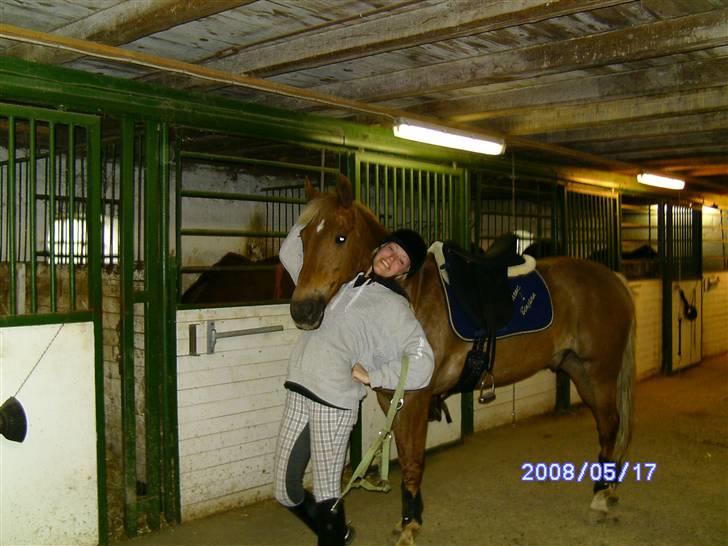 New Forest Benjamin - krammebamse :) billede 5