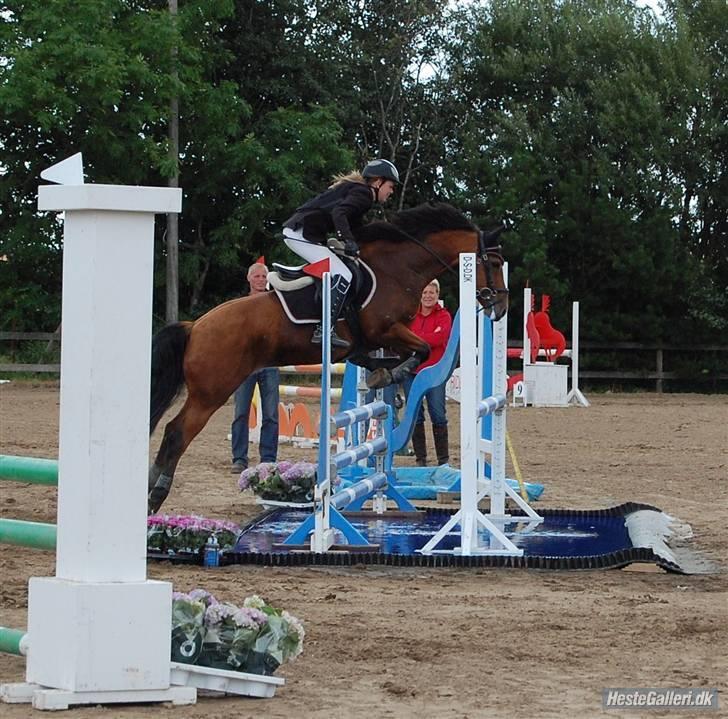 Hollandsk Sportspony Naomi - SOLGT - - :D billede 11