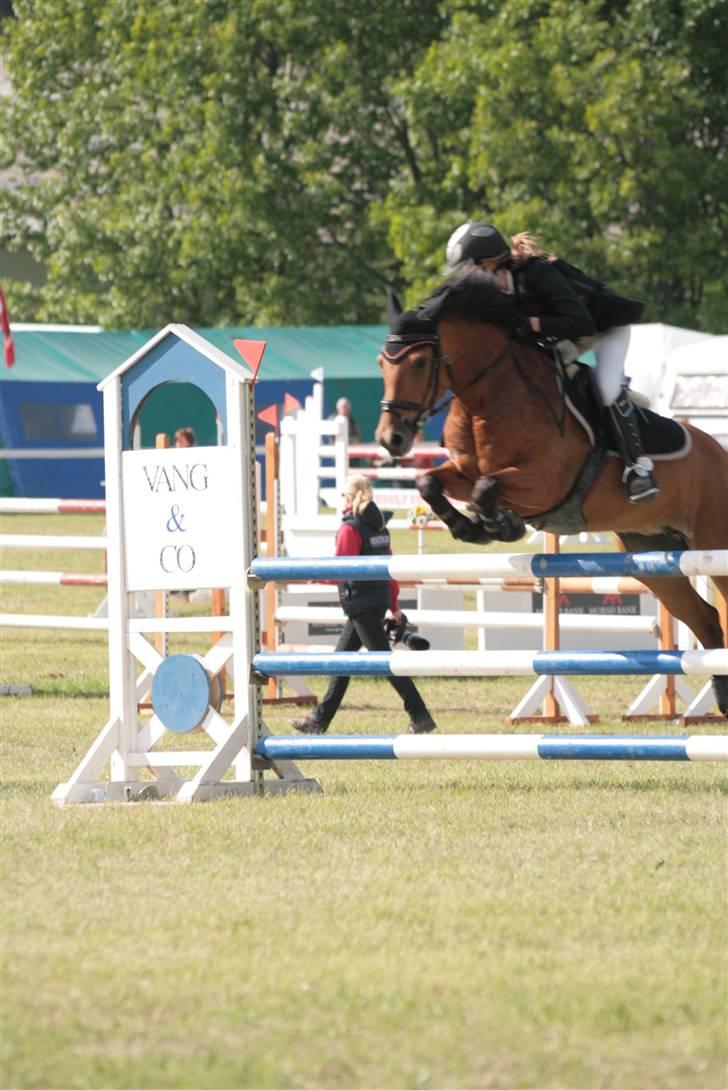 Hollandsk Sportspony Naomi - SOLGT - - taget af Sisse Kallehave<3 billede 14