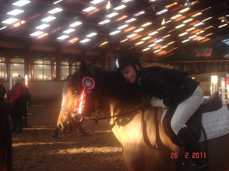 Hollandsk Sportspony Naomi - SOLGT - - Naomi og hendes nye ejer Birgitte :-) billede 16