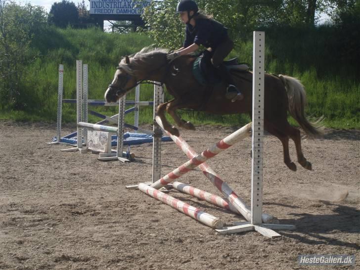 Anden særlig race Jamaica(red før sommer08) - Wee... XD Jamaica og mig...  Foto: Karoline billede 11