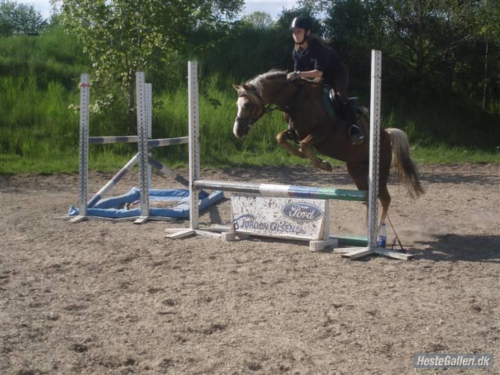 Anden særlig race Jamaica(red før sommer08) - Wee... XD Jamaica og mig... Foto: Karoline billede 12