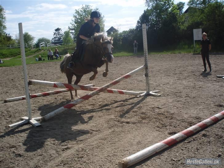 Anden særlig race Jamaica(red før sommer08) - Wee... XD Jamaica og mig... Foto: Karoline billede 13