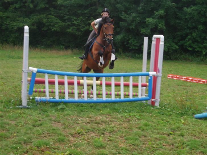 Anden særlig race Cometessa gammel part :-* billede 10