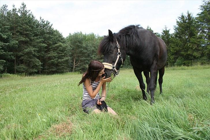 Hollandsk Sportspony Black Boy *Bedste Hest* - SAVNET!!  - You are Amazing!  billede 5