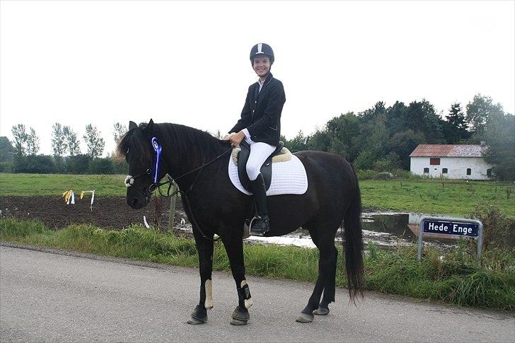 Hollandsk Sportspony Black Boy *Bedste Hest* - SAVNET!!  - Springstævne 12.9.2010 - 2 plads :D <3 billede 7