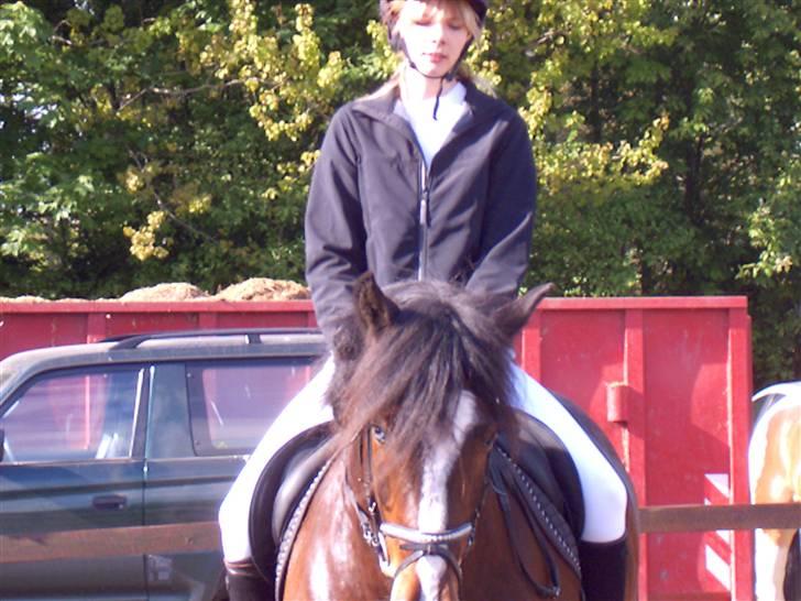Irish Cob Loke  (Gammel part) - stævne Fik en 5 plads  billede 8