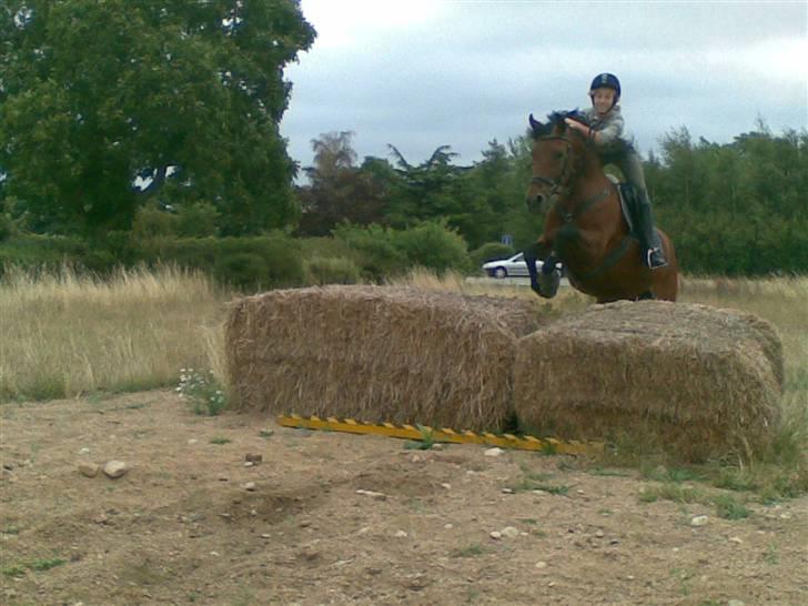 Anden særlig race Cometessa gammel part :-* - wee mig og tessa hopper :) <33 billede 16