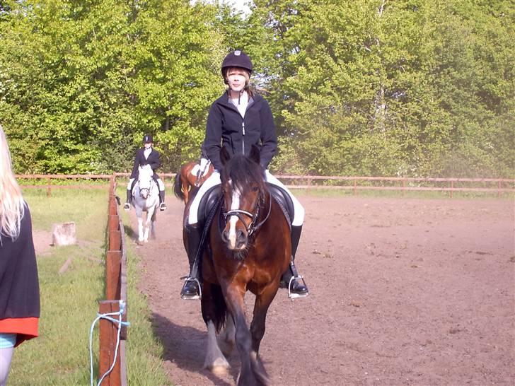 Irish Cob Loke  (Gammel part) - opvarmning ;) billede 12