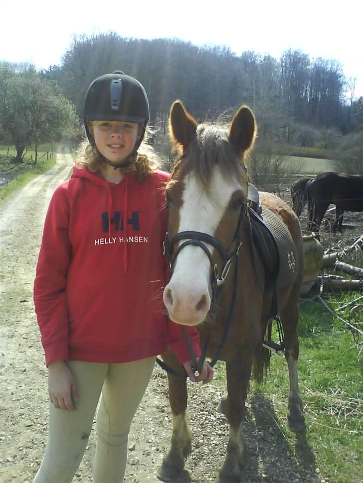 Welsh Pony (sec B) Chilli *Gammel part* - mig og chilli efter en tur i skoven :o) billede 20