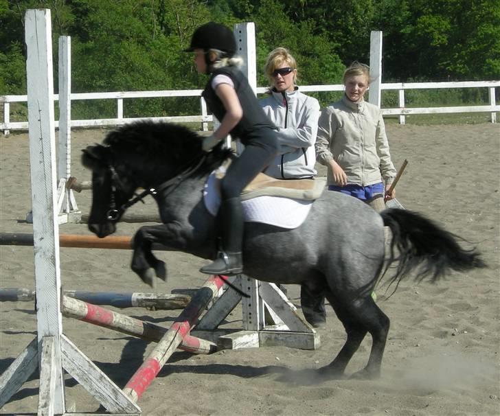 Anden særlig race Cimber - Det er sjovt ! billede 14