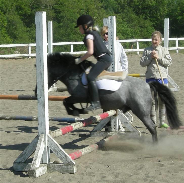 Anden særlig race Cimber - Der er fart på billede 15