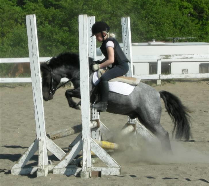 Anden særlig race Cimber - Ja Ja, selvom man er lille kan man godt springe igennem ;-) billede 17