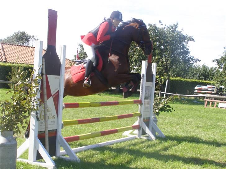 Dansk Varmblod Princess Isabella(preben) - preben og jeg til stævne billede 2