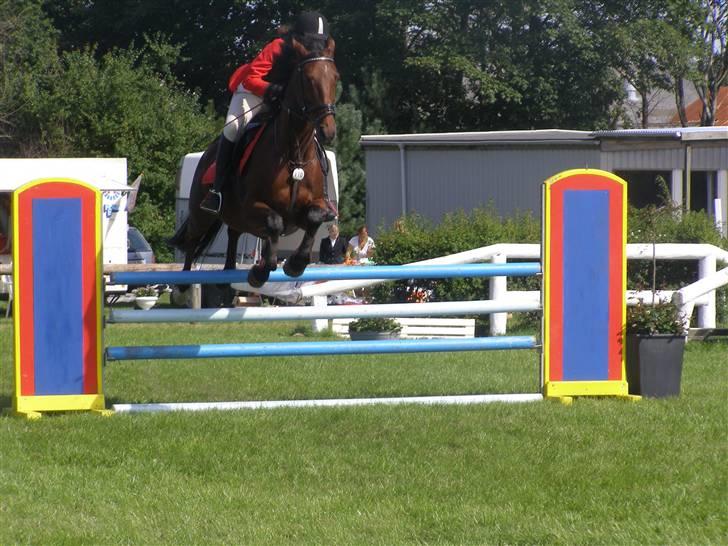 Dansk Varmblod Princess Isabella(preben) - preben <3 hun er så dejlig. elsker den hest (L) billede 5