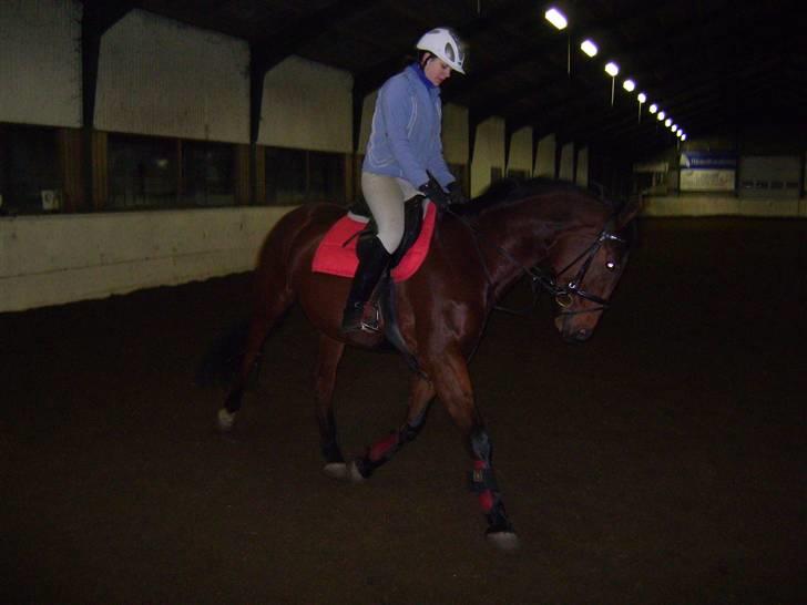 Dansk Varmblod Princess Isabella(preben) - haha v ijk li hva det er jeg kigger på ;D tror det var fordi min sadel knirker. :b billede 10