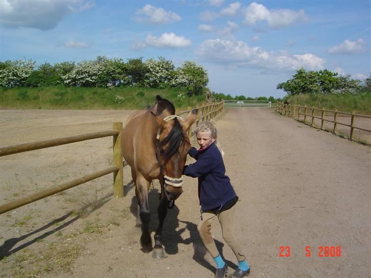 Anden særlig race Pepsi - Julie har lidt svært ved at holde på Pepsi billede 5