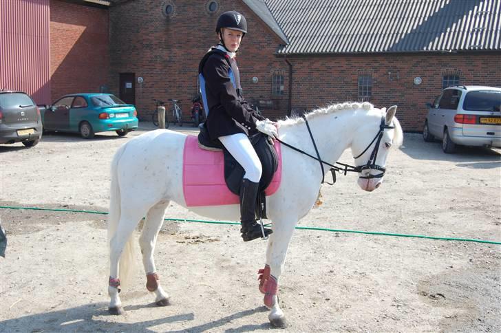 DSP ottelia - mig og golle venter på at komme ind og springe billede 2