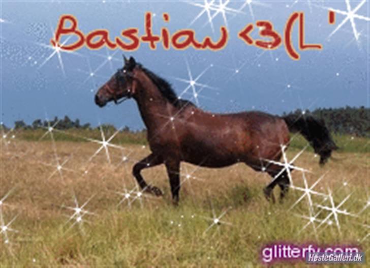 Anden særlig race º• Bastian <3 •º SOLGT billede 9