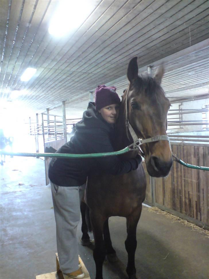 Anden særlig race Midnight Teardrop - Til stævne :D billede 4