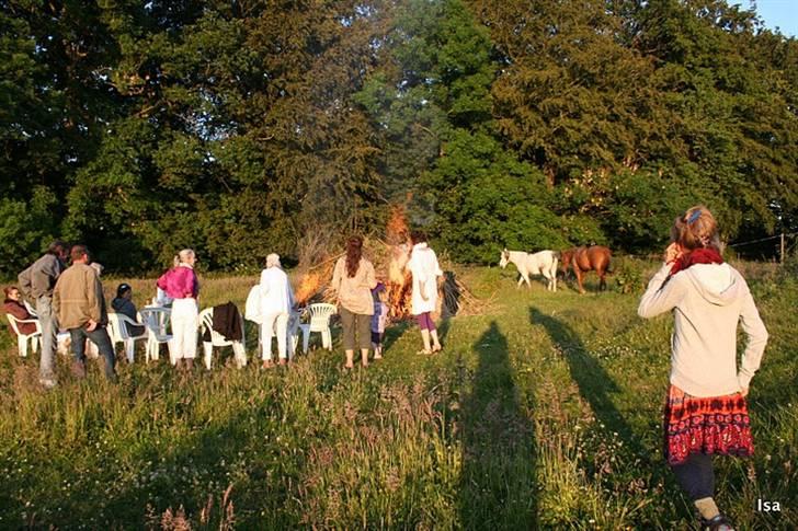 Pura Raza Española Janeda billede 4